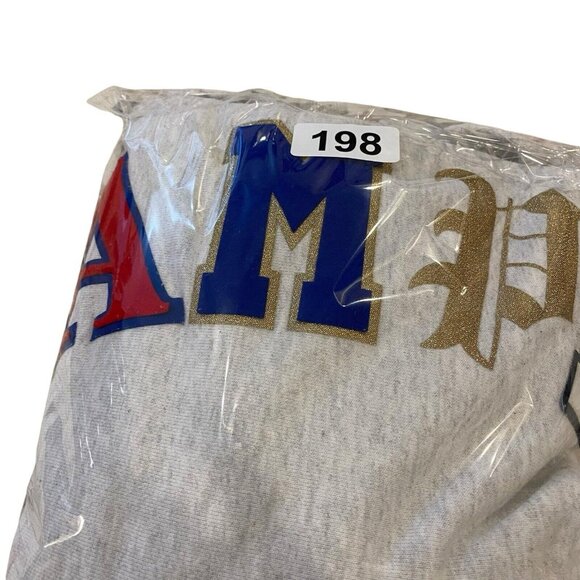 Champion Men's Reverse Weave Hoodie Sweatshirt Old English Logo Silver Gray M - Picture 8 of 10